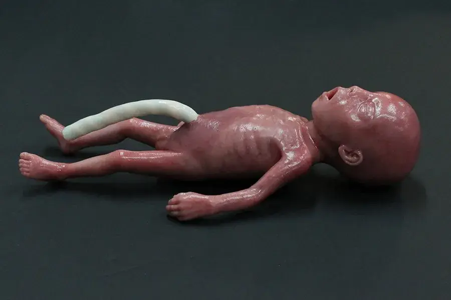 20211104_123421-1200w