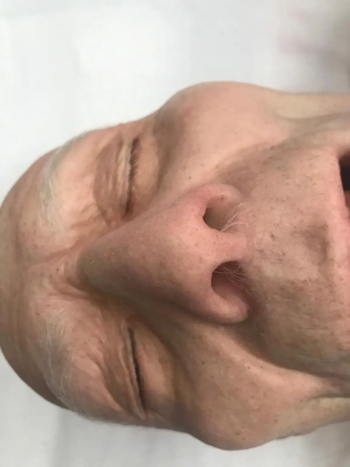 7e0fc80f-d46a-493b-9e91-446bfe9660a4-1200w