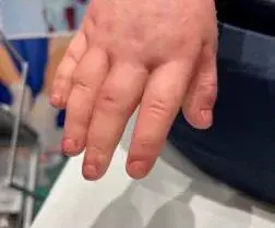 Gwen-Manikin-Hand-1200w