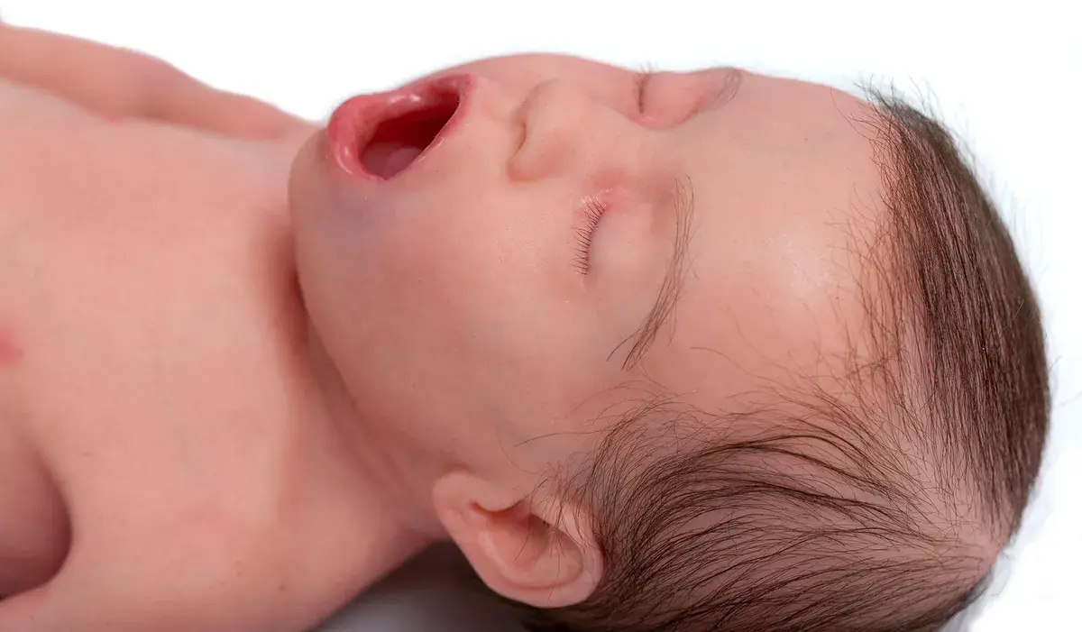 Lifecast_30062020_0201-1200w