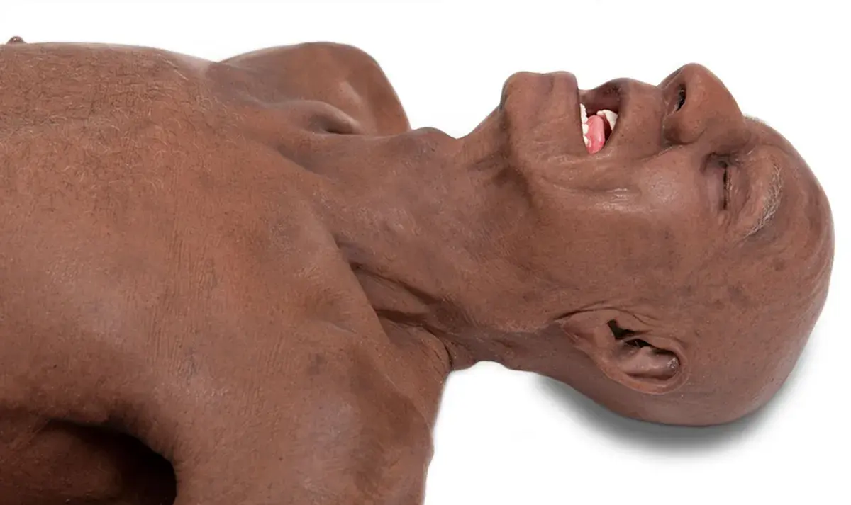 Lifecast_30062020_0314-1200w